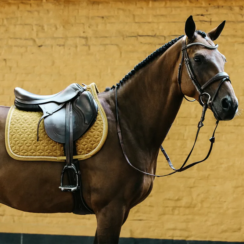Kentucky Velvet Jumping Saddlecloth - Mustard-2
